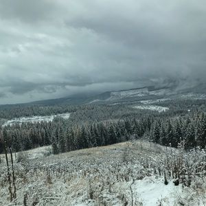 Meet your Posher, Seth